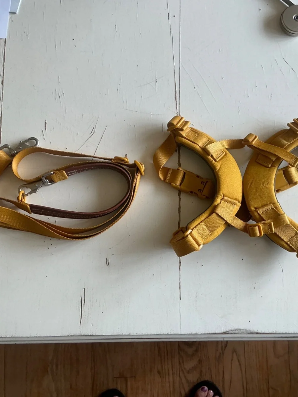 SPUTNIK Mustard Yellow harness & matching leash Medium 17-39lbs